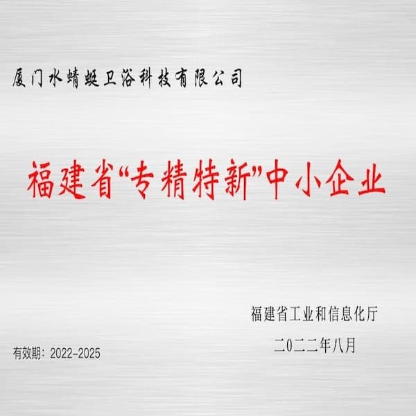 Fujian Specialized and Sophisticated small and medium-size Enterprise awarder